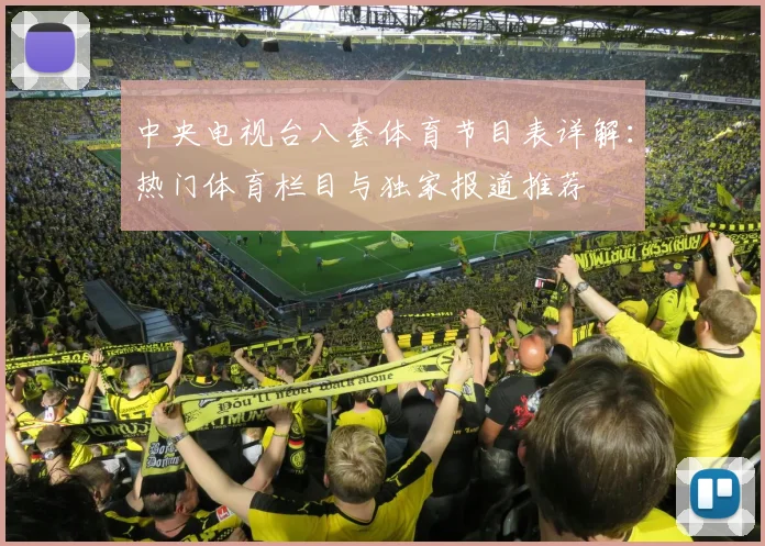 中央电视台八套体育节目表详解：热门体育栏目与独家报道推荐