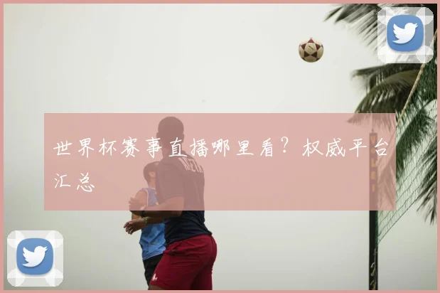 世界杯赛事直播哪里看?权威平台汇总