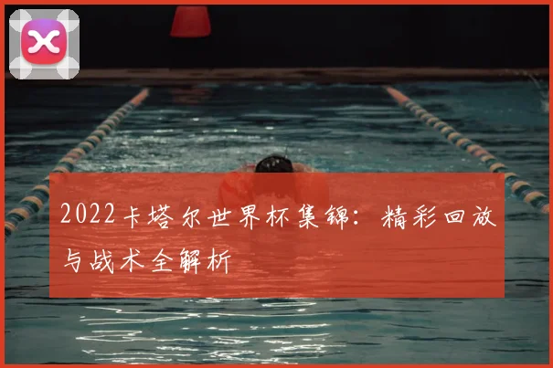 2022卡塔尔世界杯集锦：精彩回放与战术全解析